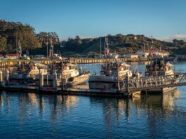 Coast Guard boats docked at a peaceful harbor under a clear blue sky, reflecting the crisp morning light.