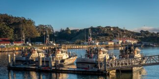 Coast Guard boats docked at a peaceful harbor under a clear blue sky, reflecting the crisp morning light.