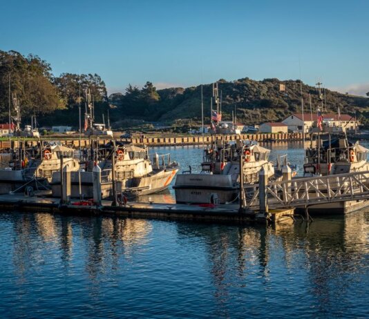 Coast Guard boats docked at a peaceful harbor under a clear blue sky, reflecting the crisp morning light.