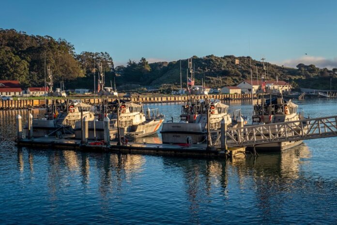 Coast Guard boats docked at a peaceful harbor under a clear blue sky, reflecting the crisp morning light. Coast Guard boats docked at a peaceful harbor under a clear blue sky, reflecting the crisp morning light.
