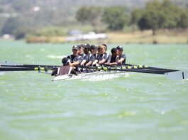 Energetic rowing team practicing on a serene lake during daylight showcasing teamwork and coordination.