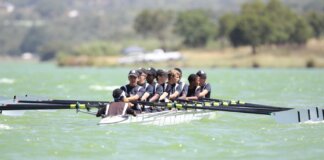Energetic rowing team practicing on a serene lake during daylight showcasing teamwork and coordination.