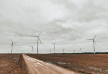 Expansive field showcasing towering wind turbines under an overcast sky.