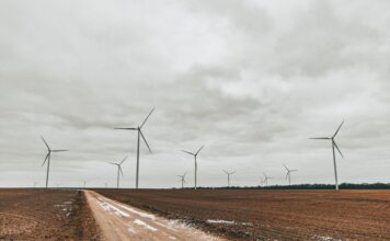 Expansive field showcasing towering wind turbines under an overcast sky.
