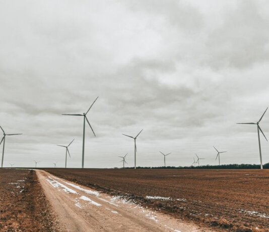 Expansive field showcasing towering wind turbines under an overcast sky.
