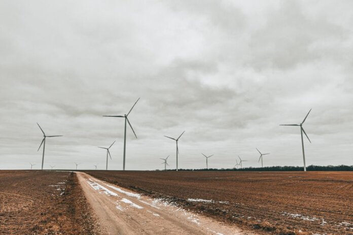 Expansive field showcasing towering wind turbines under an overcast sky.