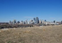 Panoramic view of the Calgary skyline under a bright blue sky from a grassy field.