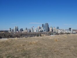 Panoramic view of the Calgary skyline under a bright blue sky from a grassy field.