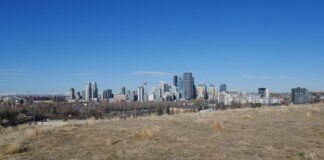 Panoramic view of the Calgary skyline under a bright blue sky from a grassy field.