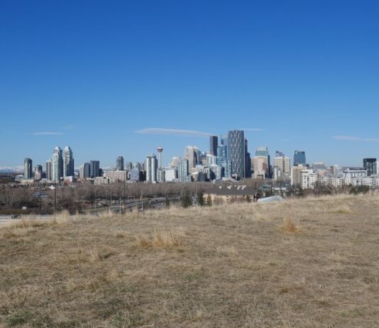 Panoramic view of the Calgary skyline under a bright blue sky from a grassy field.