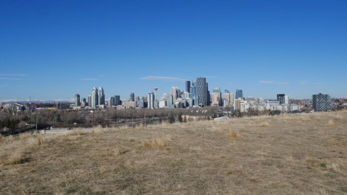 Panoramic view of the Calgary skyline under a bright blue sky from a grassy field.