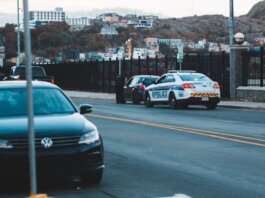 Police car parked on asphalt road near modern vehicles in city district in evening