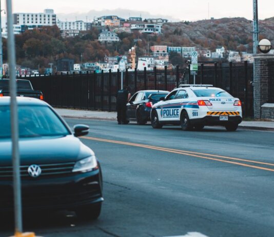 Police car parked on asphalt road near modern vehicles in city district in evening