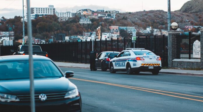 Police car parked on asphalt road near modern vehicles in city district in evening